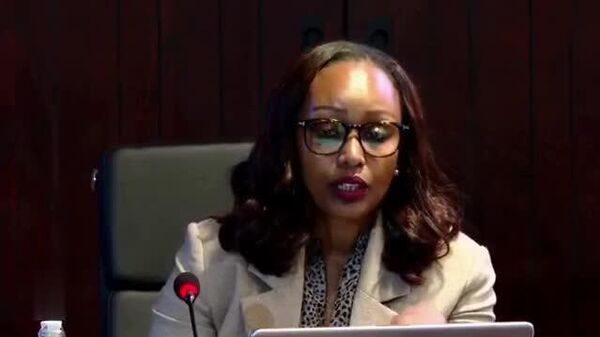 የኢትዮጵያ ኢንዱስትሪ ዘርፉ አጠቃላይ የኢኮኖሚ ድርሻ 3 - Sputnik አፍሪካ