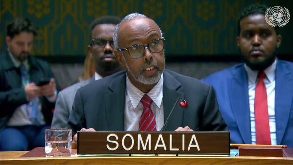 ሶማሊያ ከአዳዲስ የባሕር ላይ ዘረፋ ጥቃቶች በኋላ የባሕር ጠረፍ ደህንነት እንደምታስጠብቅ ቃል ገባች - Sputnik አፍሪካ