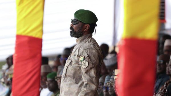 አሲሚ ጎይታ  - Sputnik አፍሪካ