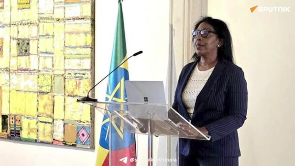 አርቲስት ተገኔ ቁምቢ የኢትዮጵያን የጥበብና የባህል ሀብት በጣሊያን ቬኒስ እያስተዋወቀ ነው - Sputnik አፍሪካ