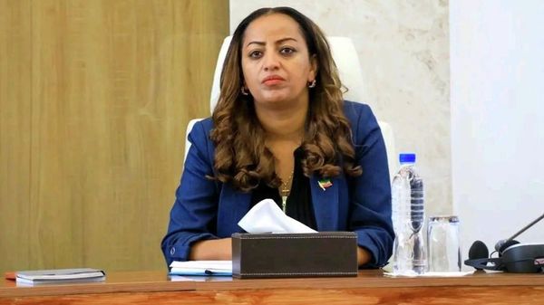 ሚኒስትሯ ዶክተር መቅደስ ዳባ፤ ከ80 በመቶ በላይ የሚሆነውን የቅደመ በሽታ መከላከል ሥራዎች የሚያከናወኑ ከ330 አዳዲስ የጤና ኬላዎች አገልግሎት መስጠት እንደጀመሩ በፓርላማ ቀርበው የተቋማቸውን የእቅድ አፈፃፀም ባቀረቡበት ወቅት ገልጸዋል። - Sputnik አፍሪካ