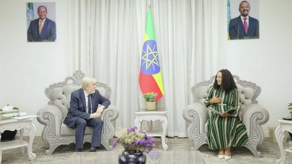 የሴቶችና ማኅበራዊ ጉዳይ ሚኒስትር ኤርጎጌ ተስፋዬ ከፕሬዚዳንት ቭላድሚር ፑቲን የተበረከተላቸውን ከፍተኛ ዕውቅና እና ሜዳሊያ ተረከቡ - Sputnik አፍሪካ