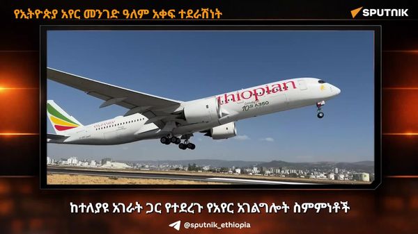 የአየር አገልግሎት ስምምነቶች የኢትዮጵያ አየር መንገድን ዓለም አቀፍ ተደራሽነት ለማሳደግ ጉልህ ሚና አላቸው - የሕዝብ ተወካዮች ምክር ቤት - Sputnik አፍሪካ