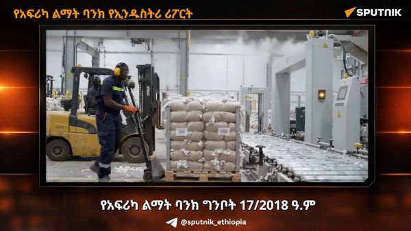 አፍሪካ ኢንዱስትሪዋን ከጥሬ ዕቃ ላኪነት ወደ እሴት ጨማሪነት ማሸጋገር አለባት - የአፍሪካ ልማት ባንክ  - Sputnik አፍሪካ