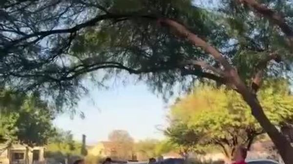 በአሜሪካ ድብን ለማዳን የተደረገው ጥረት መውደቅን አስከተለ - Sputnik አፍሪካ