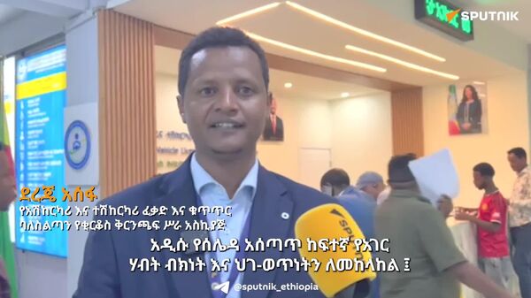 አዲሱ የተሽከርካሪዎች ሰሌዳ አጠቃላይ መረጃዎችን የያዘ ቺፕስ በውስጡ መቀበሩ ተገለፀ - Sputnik አፍሪካ