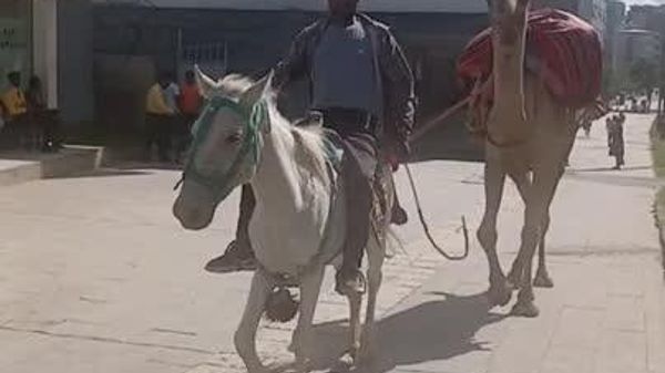 የበረሃው ንጉስ ባበለ ፈረስ አስጎብኚ ከተማውን ሲያስስ - Sputnik አፍሪካ