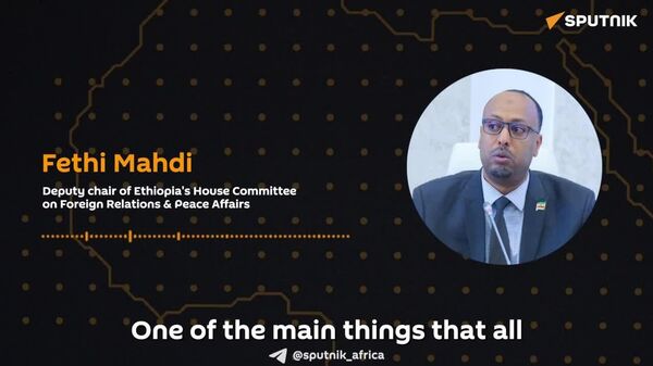 የኢትዮጵያ - ሩሲያ ግንኙነት በባሕል ልውውጥና በኢኮኖሚ ዘርፎች ይገለጻል - የሕዝብ ተወካዮች ምክር ቤት አባል - Sputnik አፍሪካ