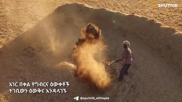 አገር በቀል የግብርና ዕውቀቶች ተገቢውን ዕውቅና አላገኙም - የኢትዮጵያ ዘላቂ የምግብ ሥርዓቶች እና አግሮ-ኢኮሎጂ ኮንሰርቲየም - Sputnik አፍሪካ