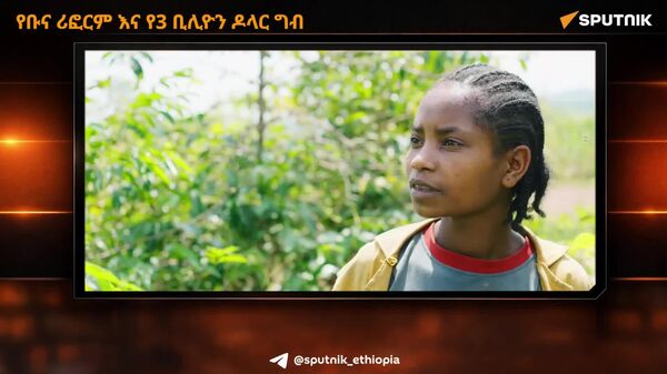 የኢትዮጵያ የቡና ምርት ዘርፍ ሪፎርም እና የዓመቱ የ3 ቢሊዮን ዶላር ግብ - Sputnik አፍሪካ