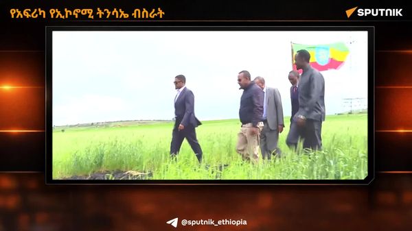 የኢትዮጵያ የስንዴ ምርት እመርታ፤ ለአፍሪካ የኢኮኖሚ ትንሳኤ ብስራት - Sputnik አፍሪካ