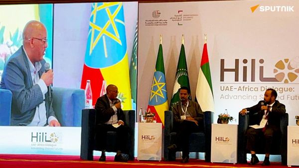 ኢትዮጵያ የወደብ ፍላጎቷን ለማሟላት ከተባበሩት የአረብ ኢምሬቶች ጋር የበለጠ ተቀራርባ ልትሠራ ትችላለች - ጌታቸው ረዳ - Sputnik አፍሪካ