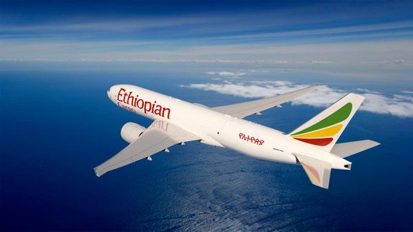 ለካንሰር ሕክምና ወደ ሕንድ ትጓዝ የነበረች የ13 ዓመት ኢትዮጵያዊት ታዳጊ በበረራ ላይ እያለች ሕይወቷ አለፈ - Sputnik አፍሪካ