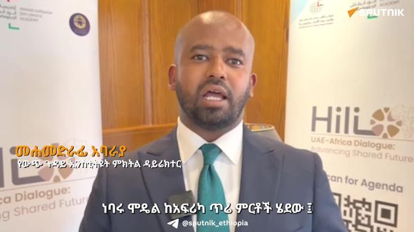 ከአፍሪካ ወደ ሌላ አካባቢ የሚሻገሩ ምርቶች በከፊል ያለቁ ወይም ሙሉ በሙሉ ያለቁ ሊሆኑ ይገባል - የውጭ ጉዳይ ኢኒስቲትዩት ምክትል ዳይሬክተር - Sputnik አፍሪካ