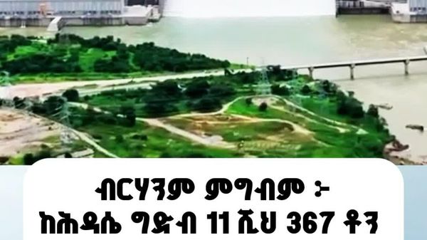 ከሕዳሴ ግድብ 11 ሺህ 367 ቶን ዓሣ ምርት ተሰበሰበ - Sputnik አፍሪካ