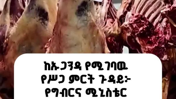 ከኡጋንዳ ወደ ኢትዮጵያ የሚገባ ሕጋዊ የሥጋ ምርት የለም - የግብርና ሚኒስቴር - Sputnik አፍሪካ