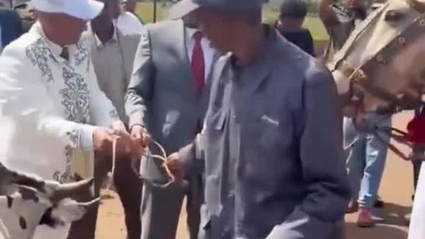 ጠቅላይ ሚኒስትር ዐቢይ አሕመድ ላም ከነጥገቷ እና ፈረስ በስጦታ ተበረከተላቸው - Sputnik አፍሪካ