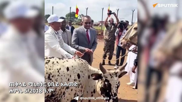 ለጠቅላይ ሚኒስትር ዐቢይ አሕመድ የተበረከቱ ሥጦታዎች - Sputnik አፍሪካ