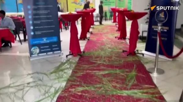 የኢትዮጵያ ኢኮኖሚክስ ባለሙያዎች ማኅበር የውጭ ምንዛሪ እጥረት፣ የዕዳ ጫና እና የዓለም አቀፍ ገበያ የዋጋ መዋዠቅ አሁንም ኢኮኖሚውን እየፈተነ እንደሚገኝ ገለጸ - Sputnik አፍሪካ