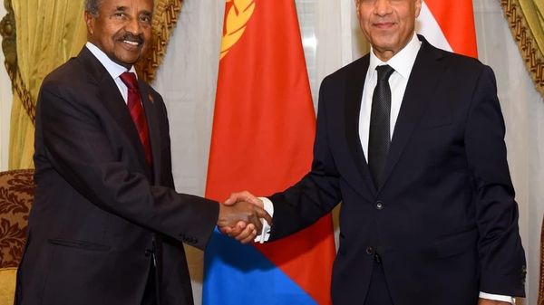 የግብፅ የውጭ ጉዳይ ሚኒስትር ከኤርትራ እና ሶማሊያ አቻዎቻቸው ጋር በቀጣናዊ ትብብር ዙሪያ ውይይት አደረጉ - የውጭ ጉዳይ ሚኒስቴር - Sputnik አፍሪካ