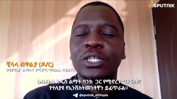 የብሪክስ አዲስ ልማት ባንክ የተለያዩ የኢንዱስትሪ መሠረተ-ልማቶችን ለማስፋፋት ዕድሎችን ይፈጥራል - ዛምቢያዊ ባለሙያ - Sputnik አፍሪካ