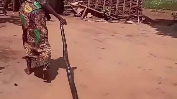 ታንዛኒያዊቷ ሴት ትልቁን ዘንዶ ልክ እንደ አስቸጋሪ ልጅ እየጎተቱ ወደ ቤት በመውሰድ በቁጣ ሲገስፁት ታይተዋል - Sputnik አፍሪካ