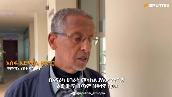 አፍሪካ በተጨባጭ የአኅጉራዊ ነፃ የንግድ ቀጣና ስምምነቱ የሚጠበቁትን ጥቅሞች እውን እንዲያደርግ መሥራት አለባት - ኢትዮጵያዊ ባለሙያ - Sputnik አፍሪካ
