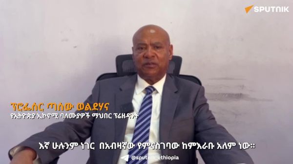 “ጥሬ እቃ ብቻ ለውጭ ገበያ ማቅረብ ሀገርን ሀብታም አያደርግም” - የኢትዮጵያ የኢኮኖሚ ባለሙያዎች ማኅበር ፕሬዝዳንት - Sputnik አፍሪካ