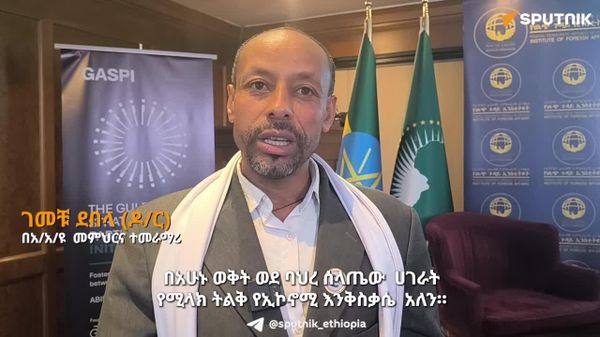 አፍሪካውያን የግብርና ምርት ላይ አሴት ጨምረው ሊያቀርቡ ይገባል - ኢትዮጵያዊ ምሁር - Sputnik አፍሪካ