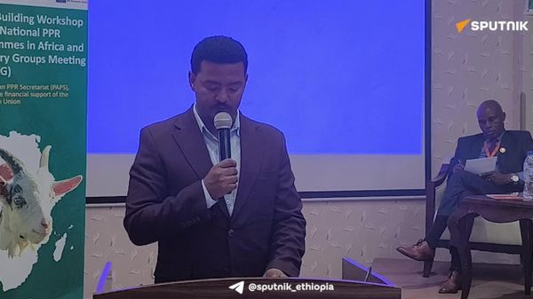 የደስታ መሰል በሽታ ክትባት በማምረት ችግሩን በራሷ አቅም መቆጣጠር የሚያስችል አቅም ገንብታለች - ግብርና ሚኒስቴር - Sputnik አፍሪካ