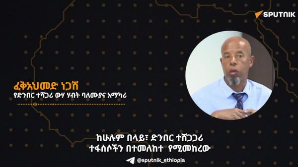 የአፍሪካ የድንብር ተሻጋሪ ተፋሰሶች አለመግባባት በውስጥ መፍትሄ ብቻ መፈታት አለባቸው - ባለሙያ - Sputnik አፍሪካ
