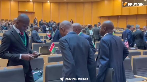 49ኛው የአፍሪካ ሕብረት የሥራ አስፈፃሚ ምክር ቤት መደበኛ ስብሰባ ሊጀምር ነው - የስፑትኒክ አፍሪካ ዘጋቢ - Sputnik አፍሪካ