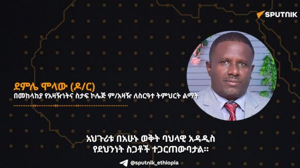 የአፍሪካ ሀገራት ድንበር ተሻጋሪ የደህነት ስጋቶች የተቀናጀ ቀጣናዊ እና አኅጉራዊ ምላሽን ይሻሉ – ኢትዮጵያዊ ወታደራዊ ባለሙያ - Sputnik አፍሪካ