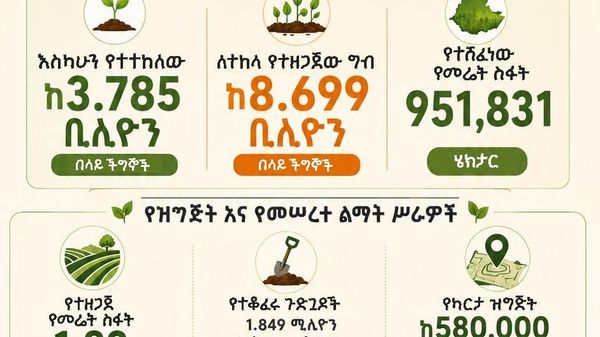 ኢትዮጵያውያን በአንድ ቀን 800 ሚሊዮን ችግኞችን ለመትከል እየተዘጋጁ ነው - Sputnik አፍሪካ