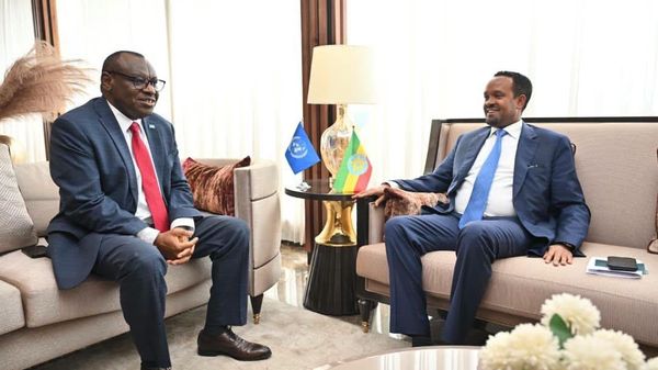 ኢትዮጵያ የአፍሪካን የጤና ፋይናንስ ለመቅረጽ የተዘረጋውን አኅጉራዊ ተነሳሽነት ተቀበለች - Sputnik አፍሪካ