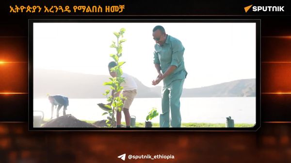 ኢትዮጵያን አረንጓዴ የማልበስ ዘመቻ - Sputnik አፍሪካ