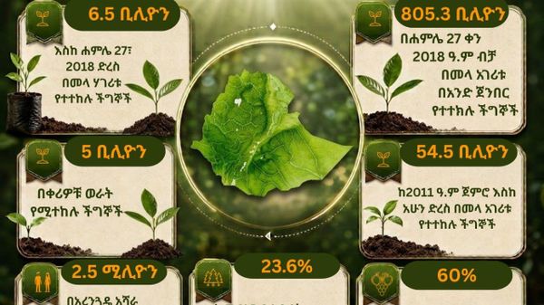 ከ54 ቢሊዮን ችግኝ እስከ 2 - Sputnik አፍሪካ