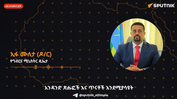 ግብርናን ከዕርዳታ ተቀባይነት ወደ ብሔራዊ ኢኮኖሚ ዋስትና መሪነት የመቀየር የፖለቲካ ቁርጠኝነት ያስፈልጋል - የግብርና ሚኒስትር ዴኤታ - Sputnik አፍሪካ