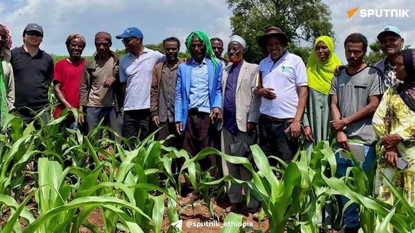 ከ91 ሺህ በላይ ኢትዮጵያውያን አርሶ አደሮችን የሚያስጠቅመው የመልሶ ማልማት እርሻ ዘዴ የሙከራ ትግበራ - Sputnik አፍሪካ
