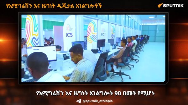 የኢሚግሬሽን እና ዜግነት አገልግሎት 90% የሚሆኑ አገልግሎቶቹን ዲጂታላይዝ አደረገ - Sputnik አፍሪካ
