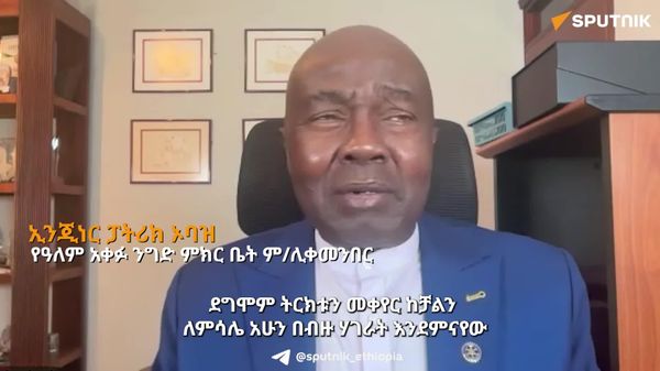 የአፍሪካ ሀገራት ለመንግሥት ሥራ ማስኬጃ የሚወጣውን ገንዘብ በመቆጠብ ለልማት ሊያውሉት ይገባል - ባለሙያ - Sputnik አፍሪካ