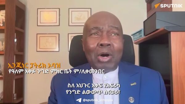 የአፍሪካን የእርስ በርስ ንግድ ለማሳደግ አኅጉር አቋራጭ መንገዶችን መገንባት ያስፍልጋል - ኬንያዊ ባለሙያ - Sputnik አፍሪካ