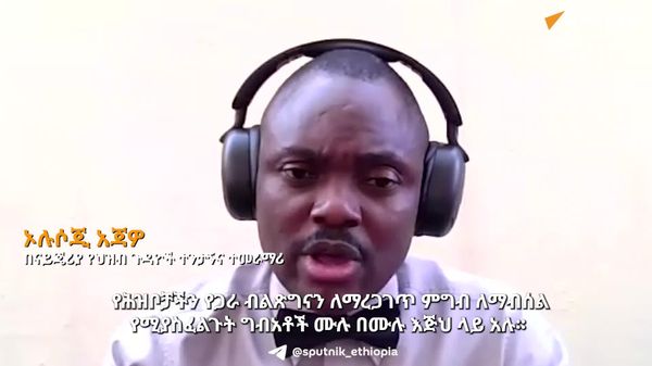 የሩሲያ ባለሃብቶች አፍሪካ ውስጥ በልማት ሥራዎች ላይ ተሳትፎ ማድረግ አለባቸው - ናይጄሪያዊ ተንታኝና ተማራማሪ - Sputnik አፍሪካ