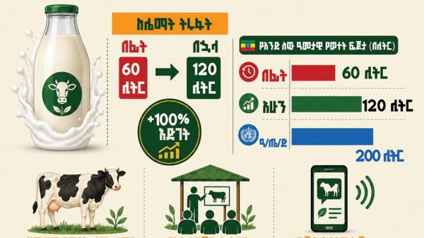 የኢትዮጵያዊውያን የነፍስ ወከፍ ዓመታዊ የወተት ፍጆታ ወደ 120 ሊትር አደገ - Sputnik አፍሪካ