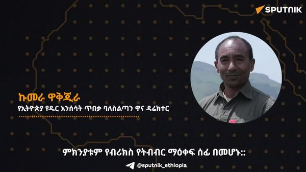 ኢትዮጵያ እና ሩሲያ በአጥቢ በብዝኃ ሕይወት መስኮች ጋር ምርምር እያደረጉ ነው – የኢትዮጵያ ባለሥልጣን - Sputnik አፍሪካ