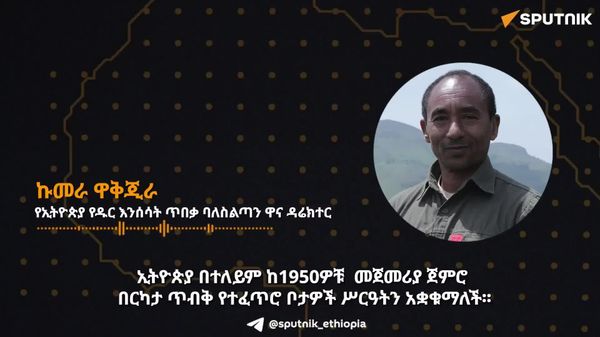 ኢትዮጵያ ከ60 ዓመታት በላይ የዱር እንሰሳቶቿን ለመጠበቅ የሚያስችሉ ሰፋፊ ጥብቅ ቦታዎችን አልምታለች – የኢትዮጵያ የዱር እንሰሳት ጥበቃ ባለሥልጣን - Sputnik አፍሪካ