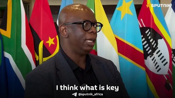 የኢንዱስትሪ ልማት የሚመጣው ግብርና የተሻለ ደረጃ ላይ ሲደርስ ነው - ደቡብ አፍሪካዊ ተመራማሪ - Sputnik አፍሪካ