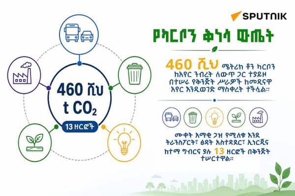 አዲስ አበባ በ2018 460 ሺህ ሜትሪክ ቶን ካርቦን ከአየር ንብረቷ ቀነሰች - Sputnik አፍሪካ
