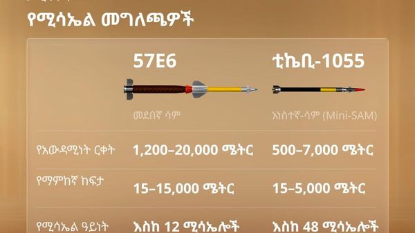 ሩሲያ የመንጋ ድሮን ጥቃቶችን ለመመከት ፓንትሲር የአየር መከላከያ ሥርዓቷን አሻሻለች - Sputnik አፍሪካ