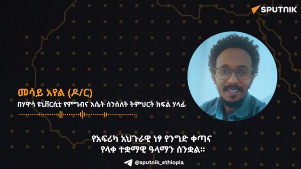 የአፍሪካ አኅጉራዊ ነፃ የንግድ ቀጣና የላቀ ዓላማን እውን ለማድረግ የቀረጥ እንቅፋቶችን በማስወገድ አኅጉራዊ ገበያ መፍጠር ይገባል - ኢትዮጵያዊ ባለሙያ - Sputnik አፍሪካ